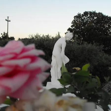 Clara * Alberobello