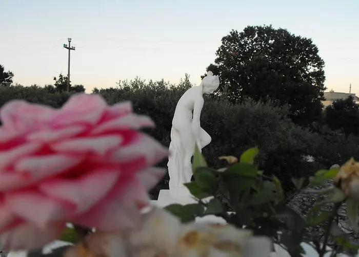 Clara * אלברובלו